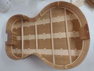 The back and ribs together showing the inside of the body