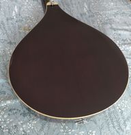Ashbury tenor mandola back view